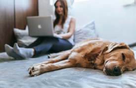 How much does LMI really add to a home’s cost?